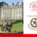 Golden Wheel CUP Four in HAND Driving Partner 2009
CAI-A Haras du Pin France